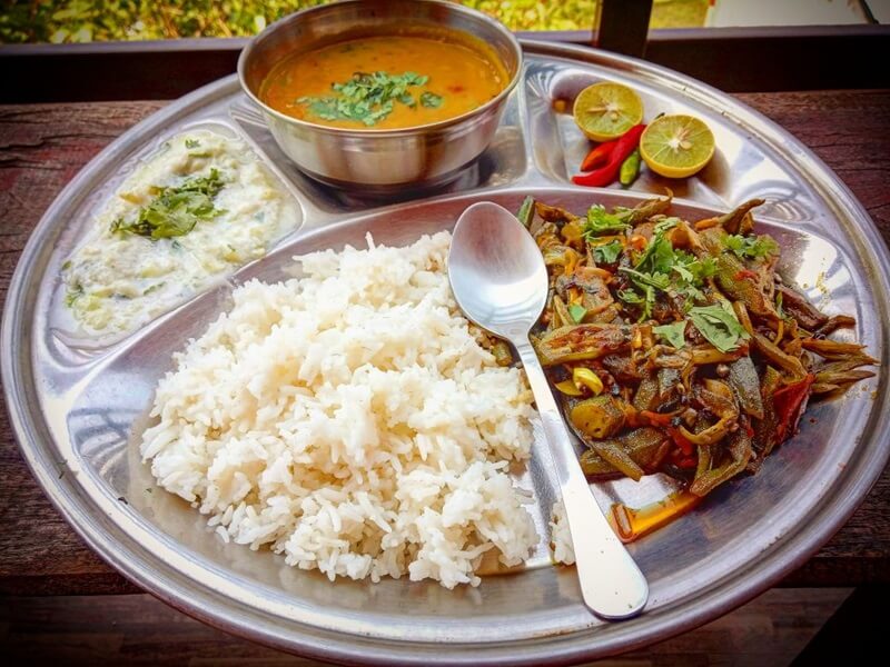 Food-for-yogi